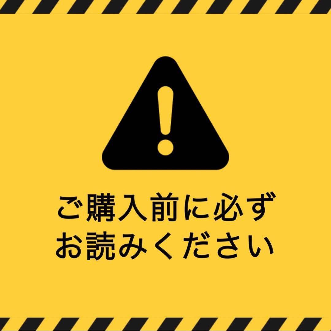 h*P様 ポケモンカード　トップサン　裏緑　リザードン