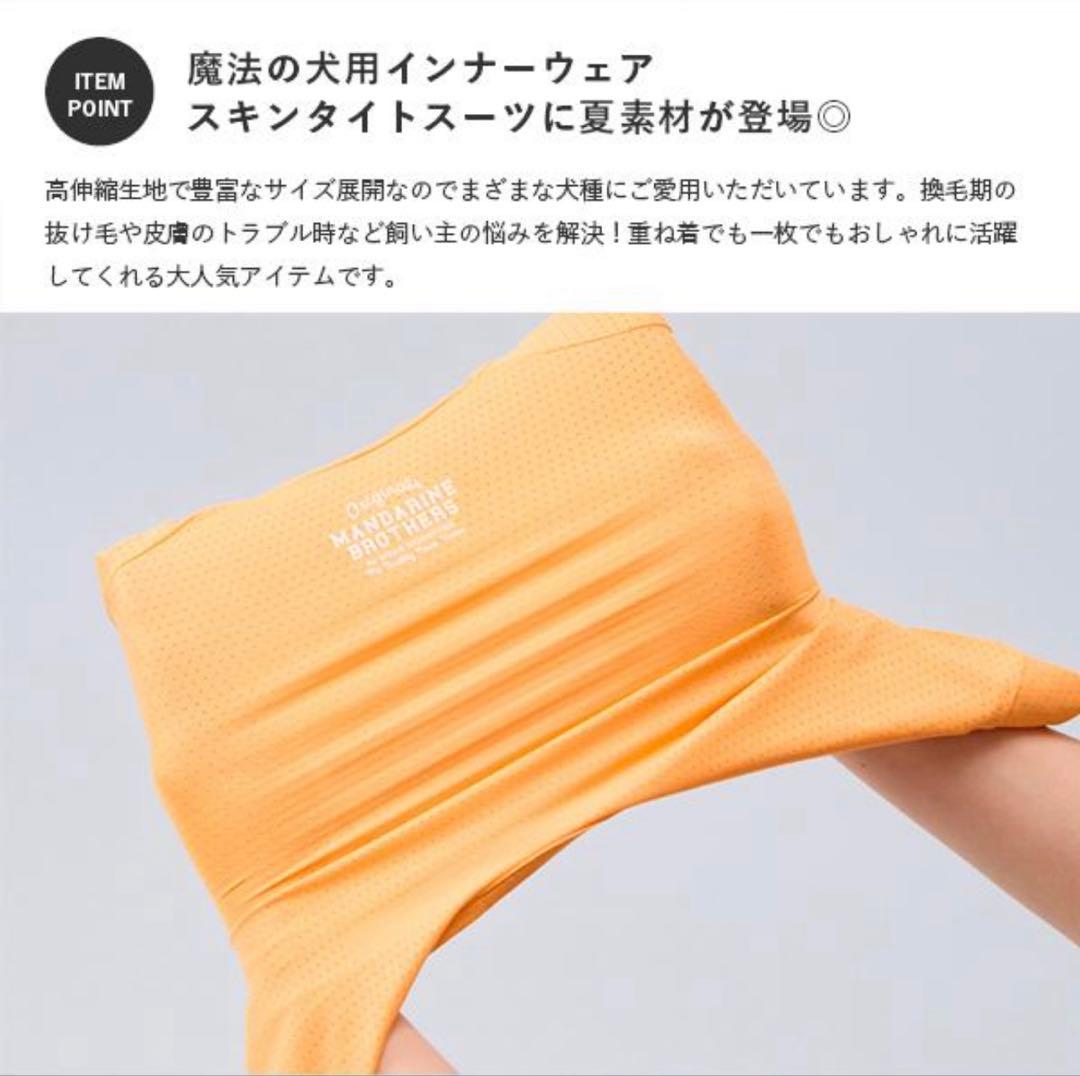 【美品】Mandarine Brothers 夏用スキンタイトスーツ MD4枚