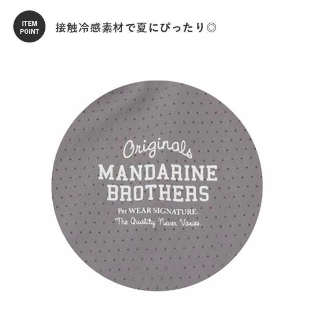 【美品】Mandarine Brothers 夏用スキンタイトスーツ MD4枚