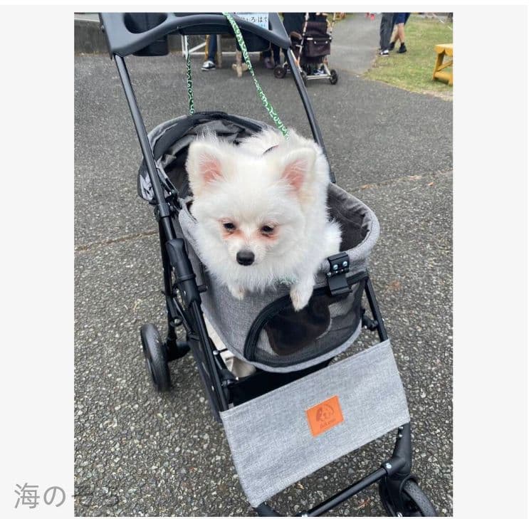 軽量コンパクト ペットキャリーカート 犬猫兼用 折り畳み 4 輪 ブレーキ付き