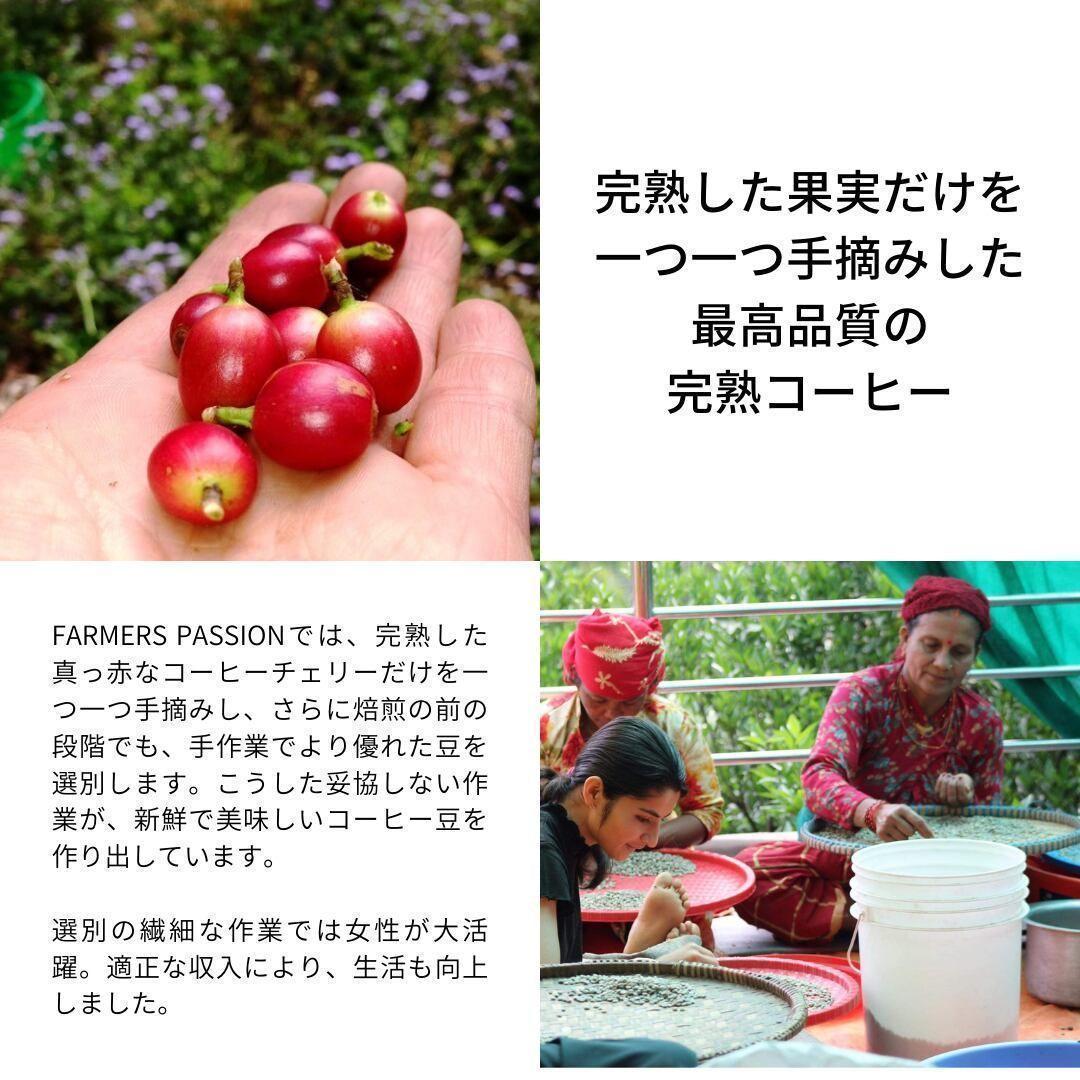 オーガニックコーヒー ダーク フェアトレード 1kg 粉 コーヒー豆 ネパール