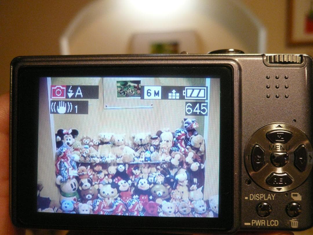 LUMIX★DMC-FX9⭕️安心の実働品⭐️スレや小傷有ります★珍しいグレー色