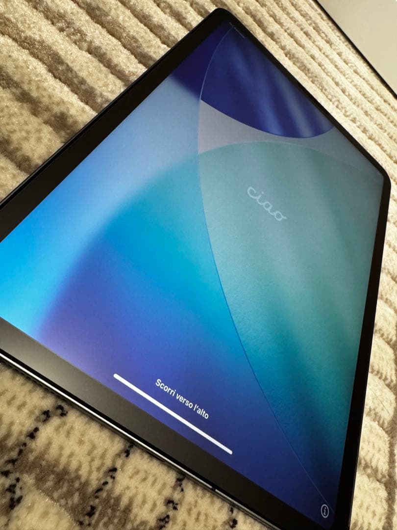 【美品】iPad Pro 11インチ 256GB Cellular