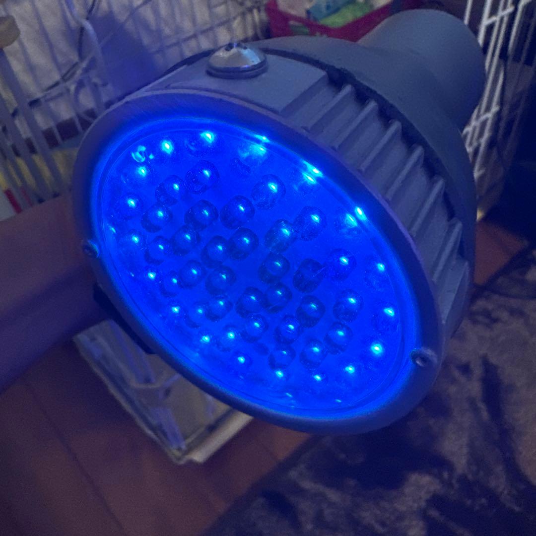 HIDランプ スーパークール