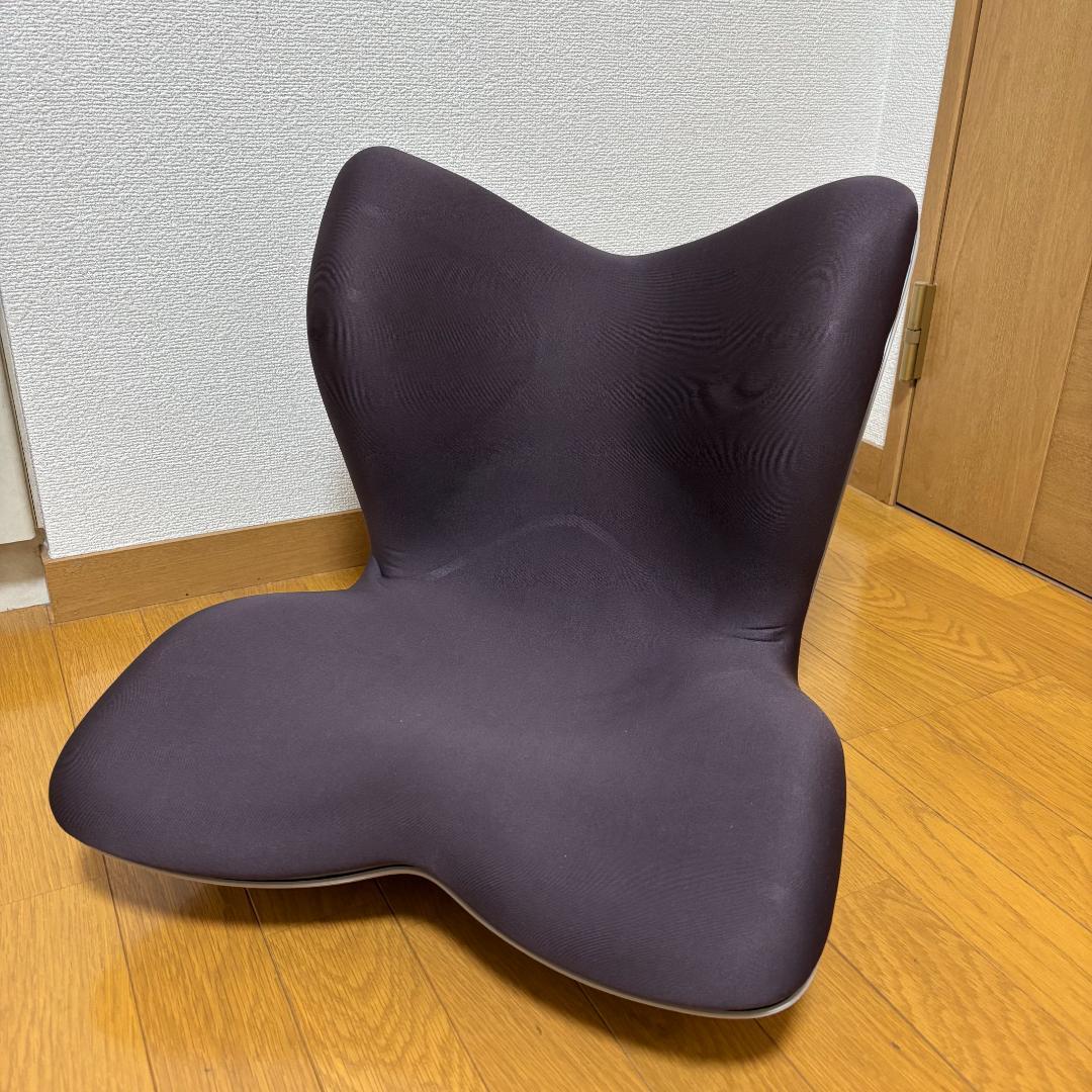 MTG Style PREMIUM スタイルプレミアム 姿勢補正 腰痛 サポート