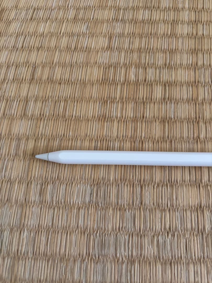 iPad mini (第6世代) + Apple Pencil (第2世代)