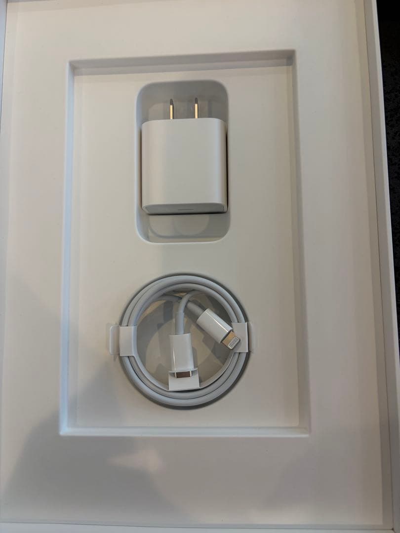 iPad 第9世代 64GB Wi-Fi モデルA2602 シルバー　Apple