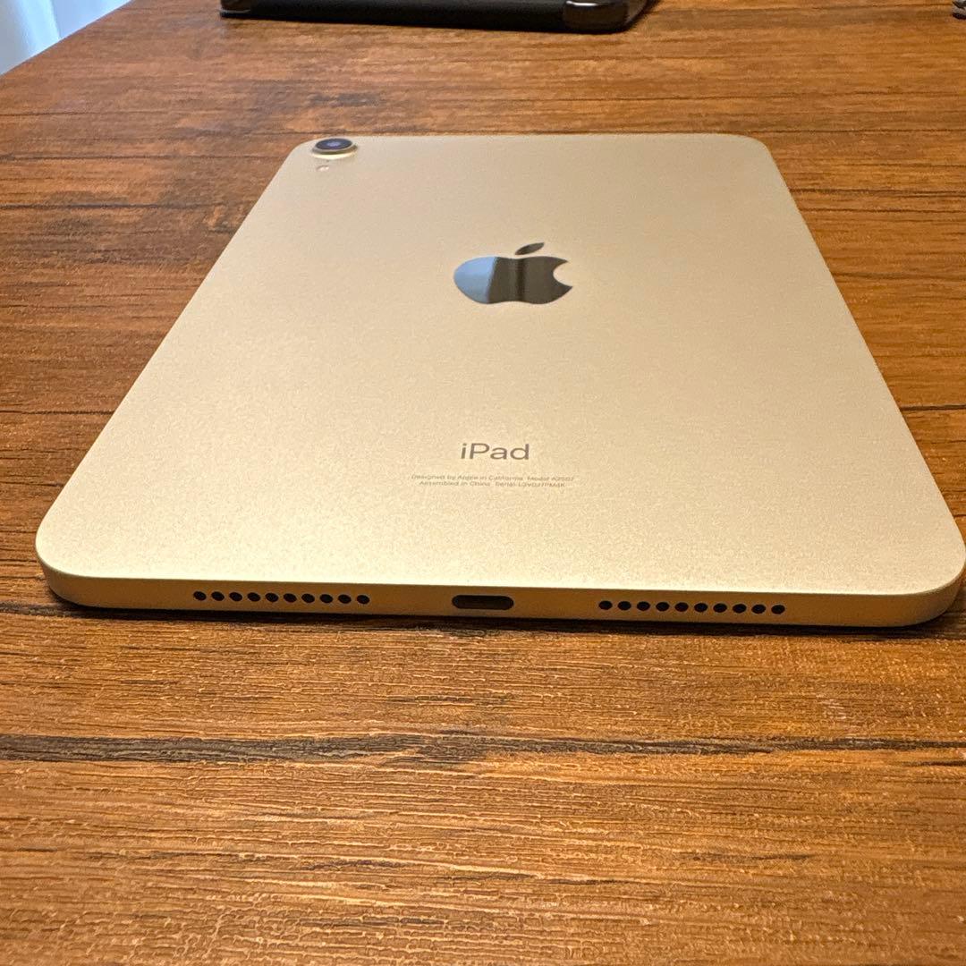 【カワウソさま専用】ipad mini(第6世代)64GB