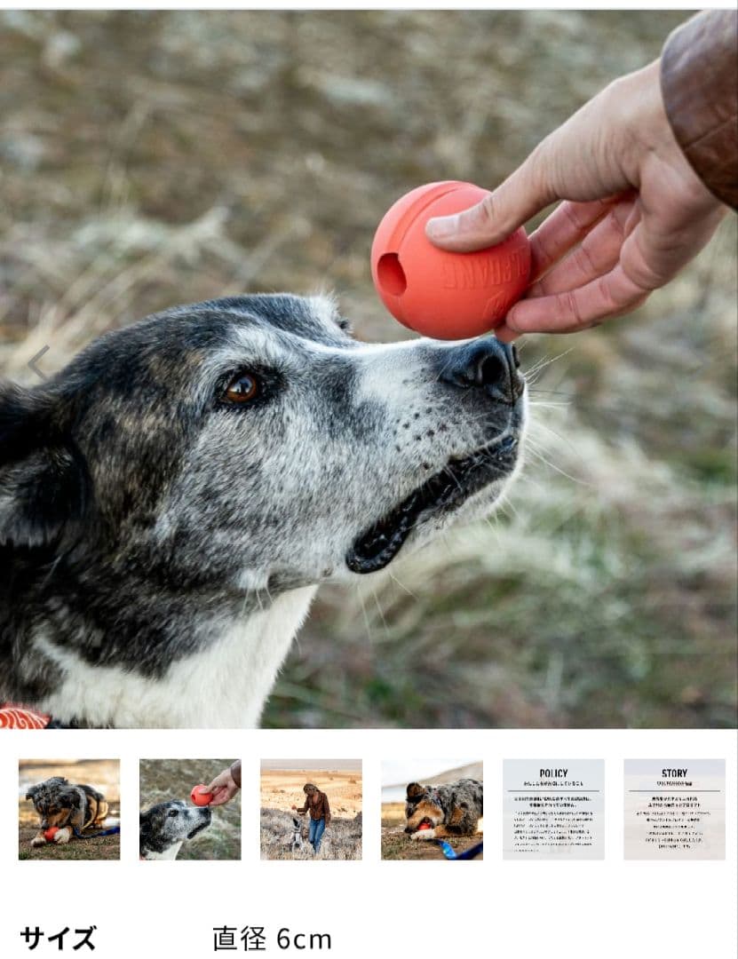 ウルフギャング ハーネス リード ボール セット M 中型犬