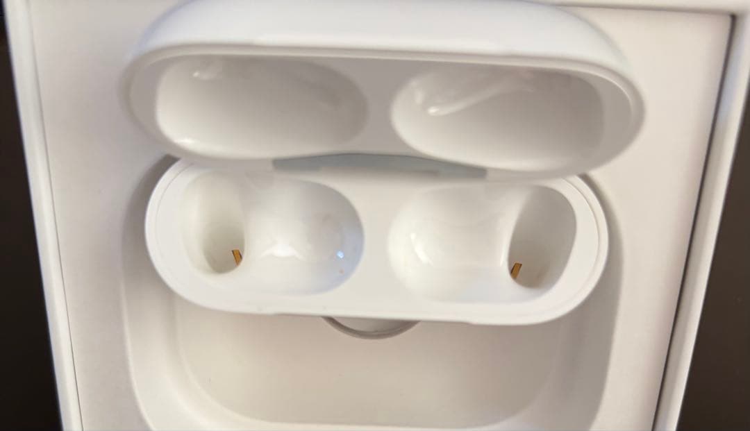 美品 AirPods Pro 本体 第1世代