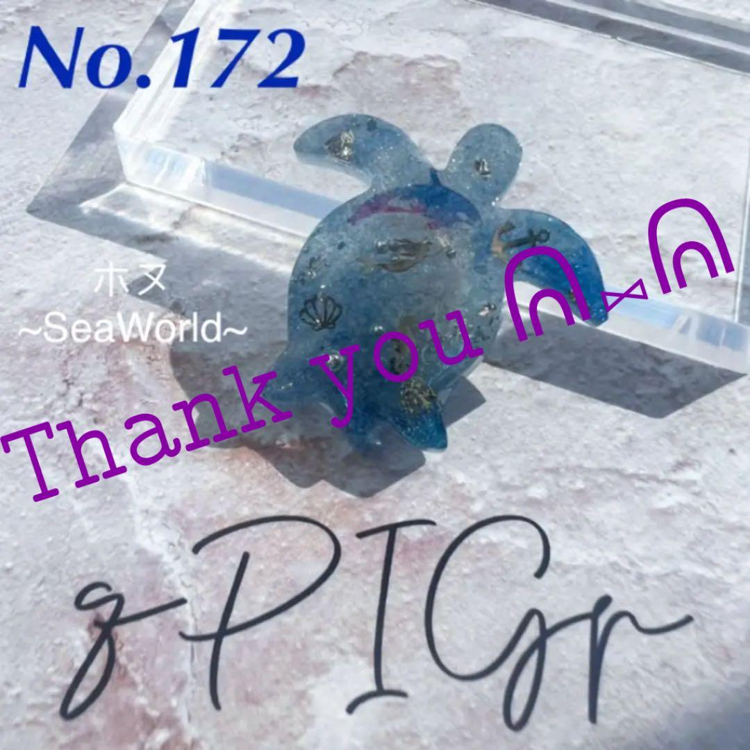 【No.172】ꫛꫀꪝ✧‧˚ ホヌ ~SeaWorld~ ウミガメ 海の中の世界