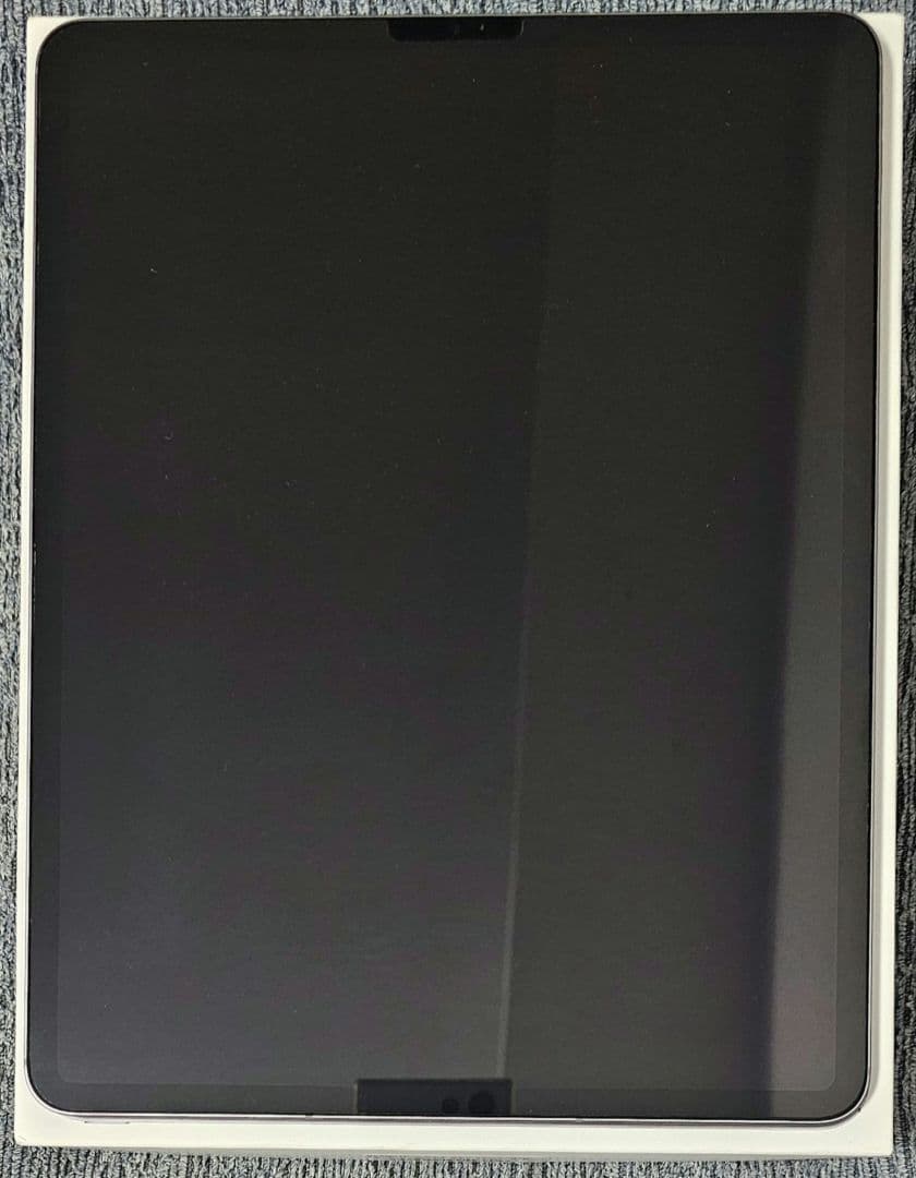 かね12.9インチ iPad Pro Wi-Fi+Cellular 2TB
