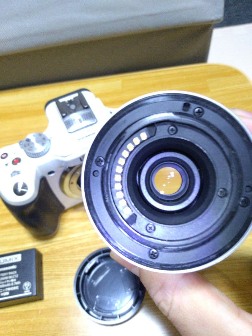 Panasonic LUMIX G5 DMC-G5 ショット数1567