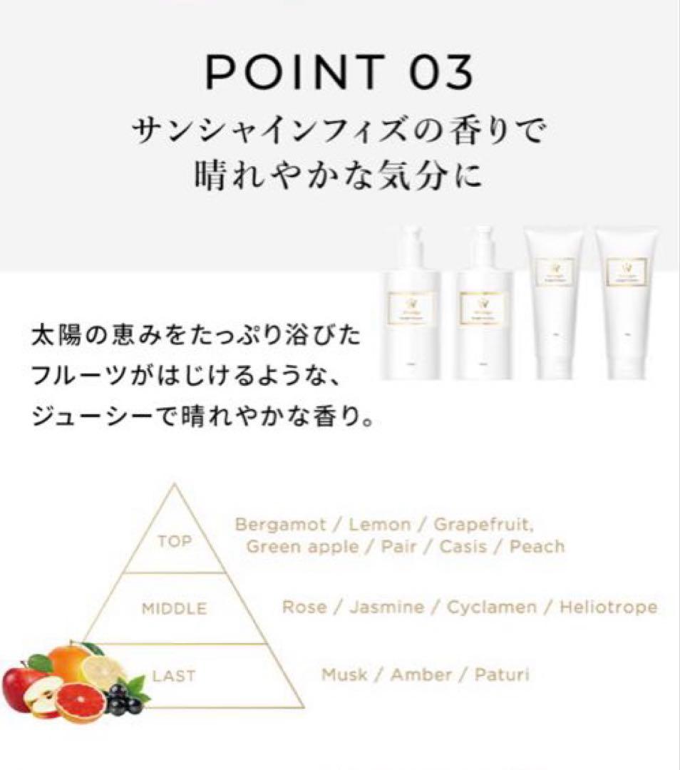 限定価格　ウォンジョンヨ　ストレートシャンプー＆トリートメント4点セット