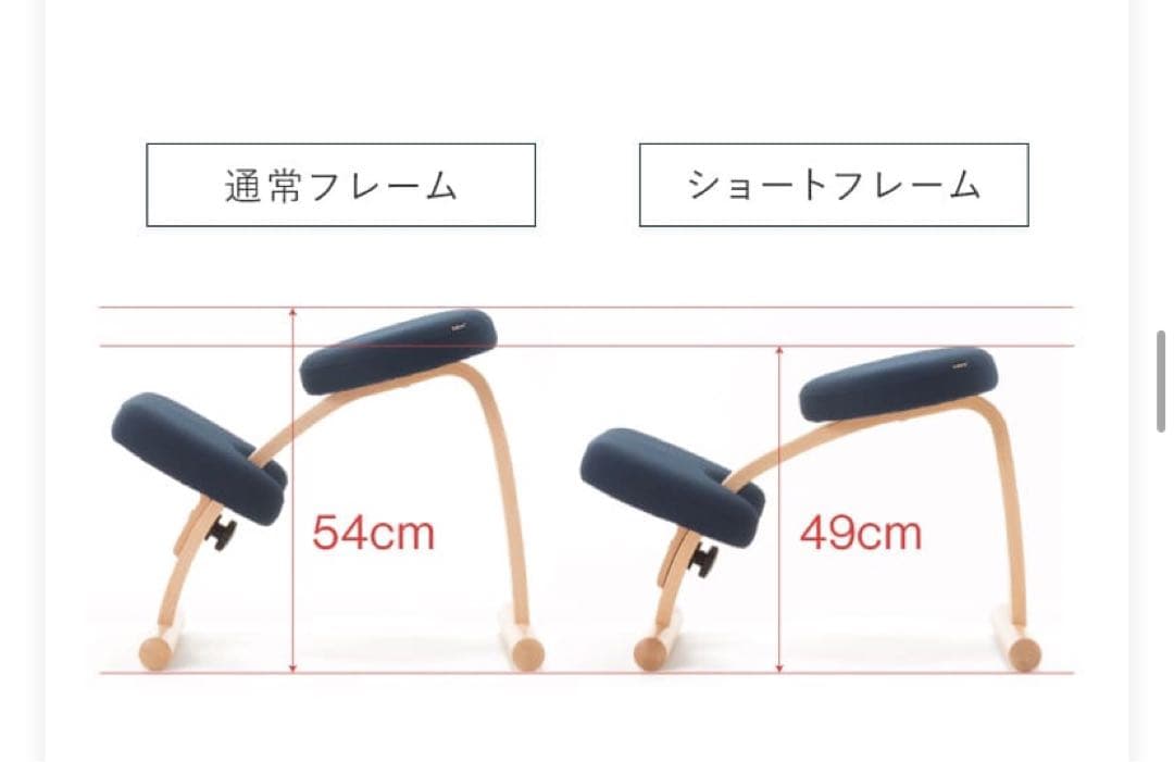 【美品】ショートフレームバランスラボ　バランスチェア バランス イージーカバー付