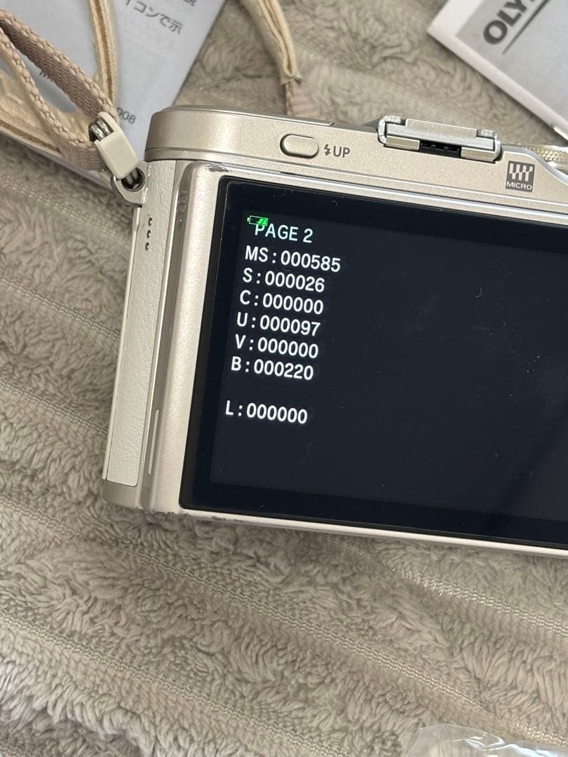 OLYMPUS PEN E-PL9 美品 シャッター少