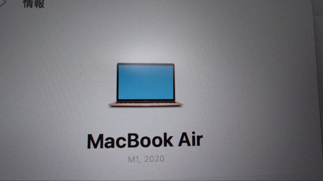 MacBook Air (M1, 2020)充電94%21回ローズゴールド