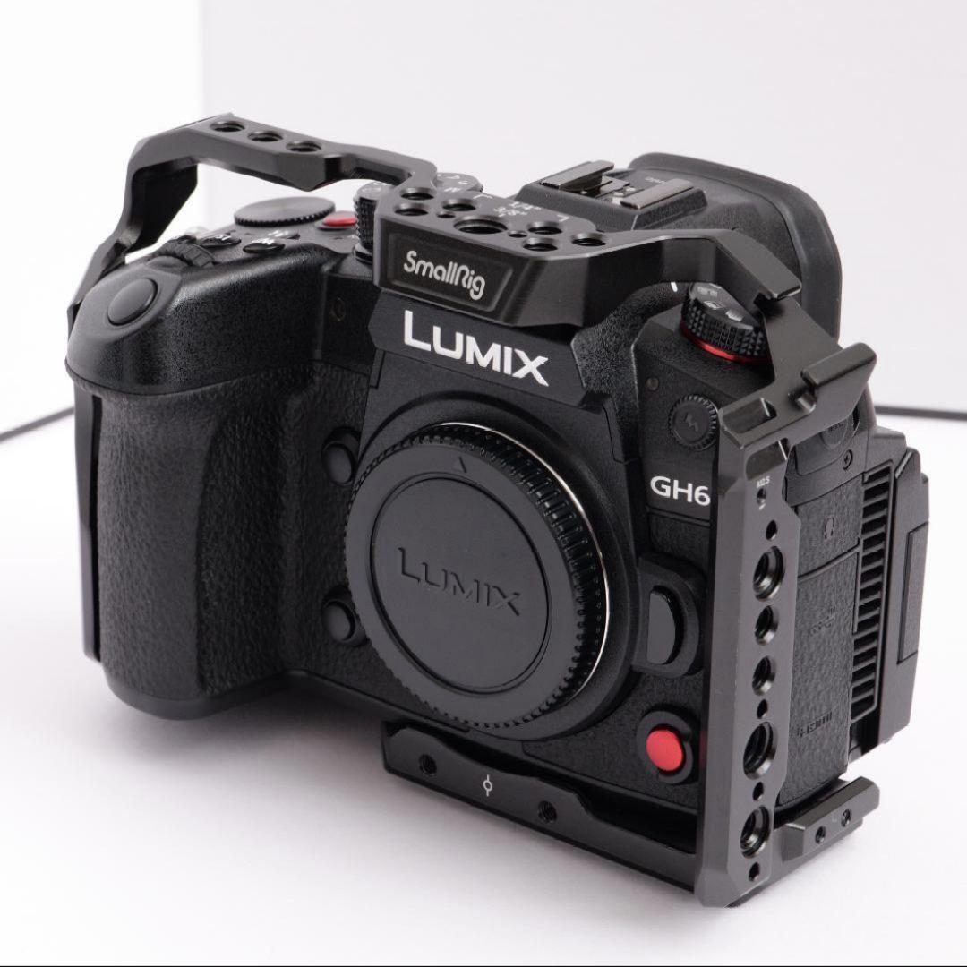 lumix gh6 12-35 f2.8レンズセット　smallrigケージ付き