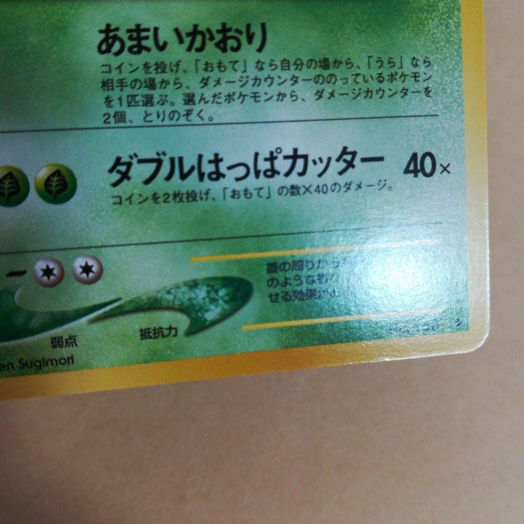 旧裏　ベイリーフ　ポケモンカード　pokemoncard pokeca