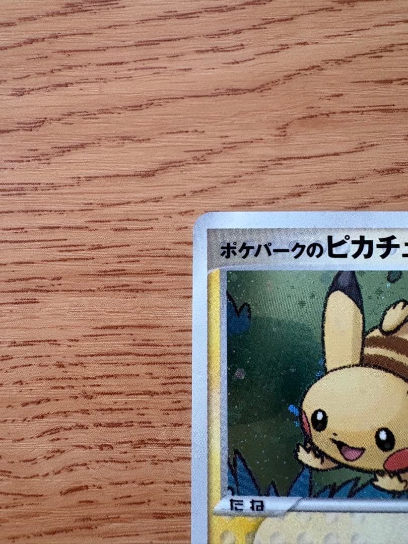 ポケパークのピカチュウ