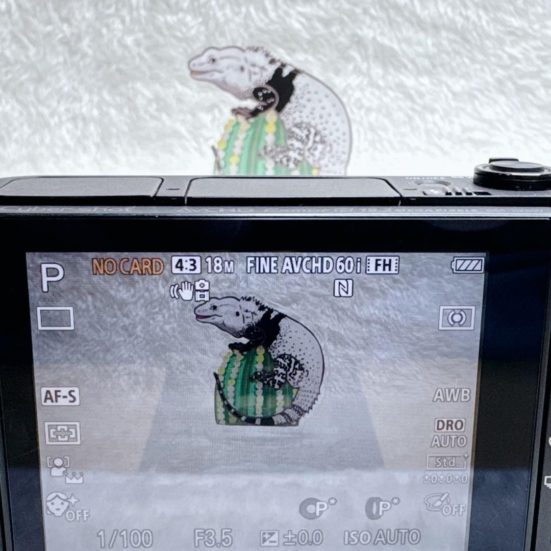動作確認済 SONY サイバーショット DSC-HX90V バッテリー 充電器有