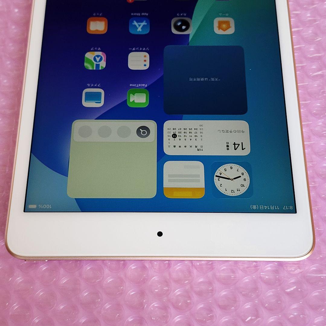 超美品　iPad mini 5　バッテリー最大容量95%　使用感あまり感じません