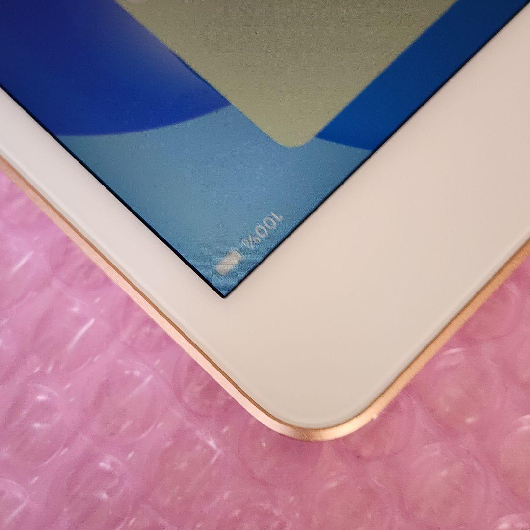 超美品　iPad mini 5　バッテリー最大容量95%　使用感あまり感じません
