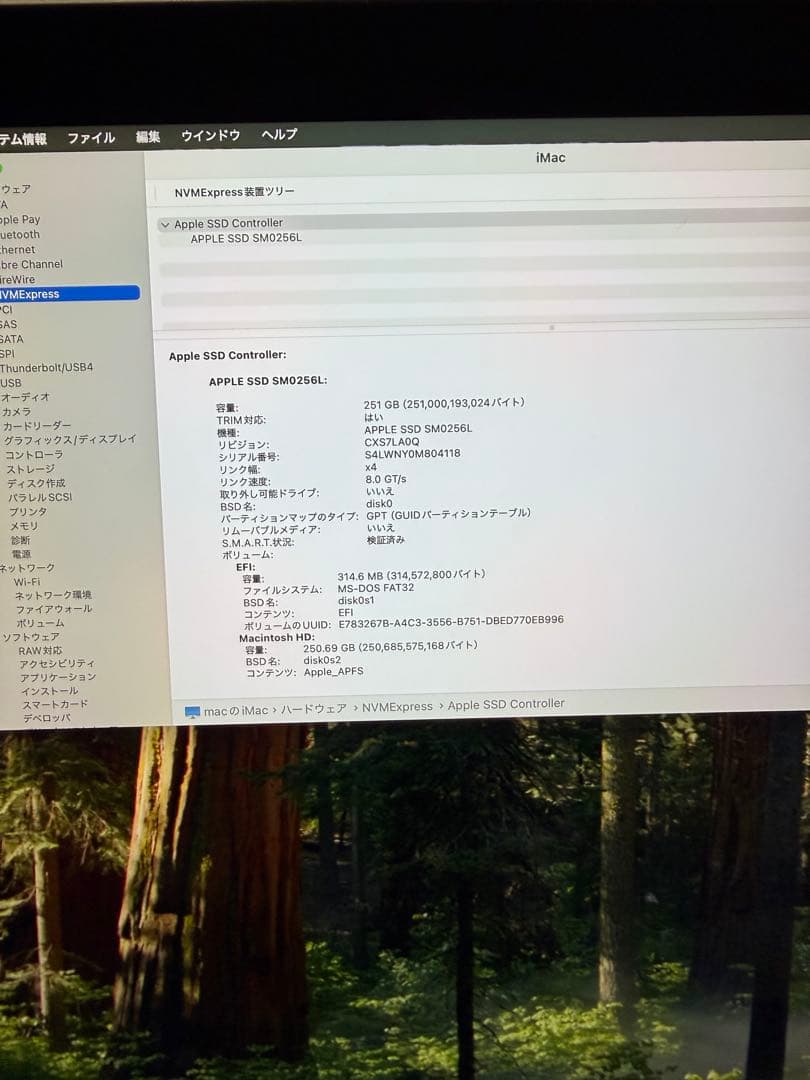 【良品】iMac 5K 27インチ 2019 / i5 / 8GB/256GB