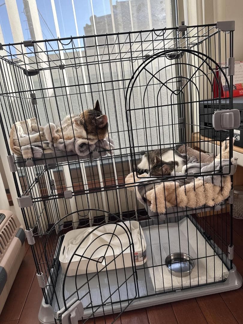 猫ケージ キャットケージ 高さ89* 幅75*奥行43 猫 ケージ 大型 ペット