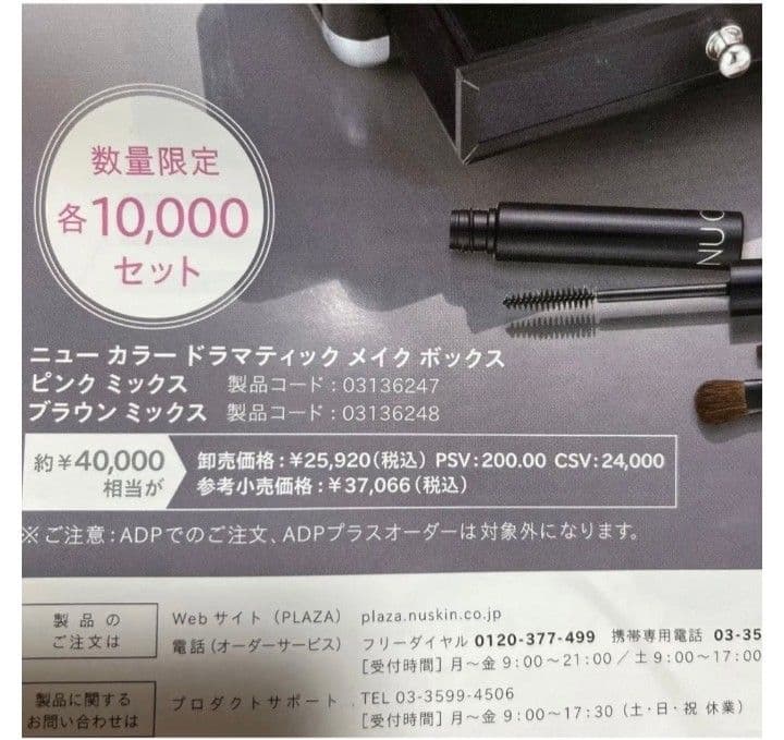【最終値下げ】ニュースキン/ニューカラー/限定品メイクボックス