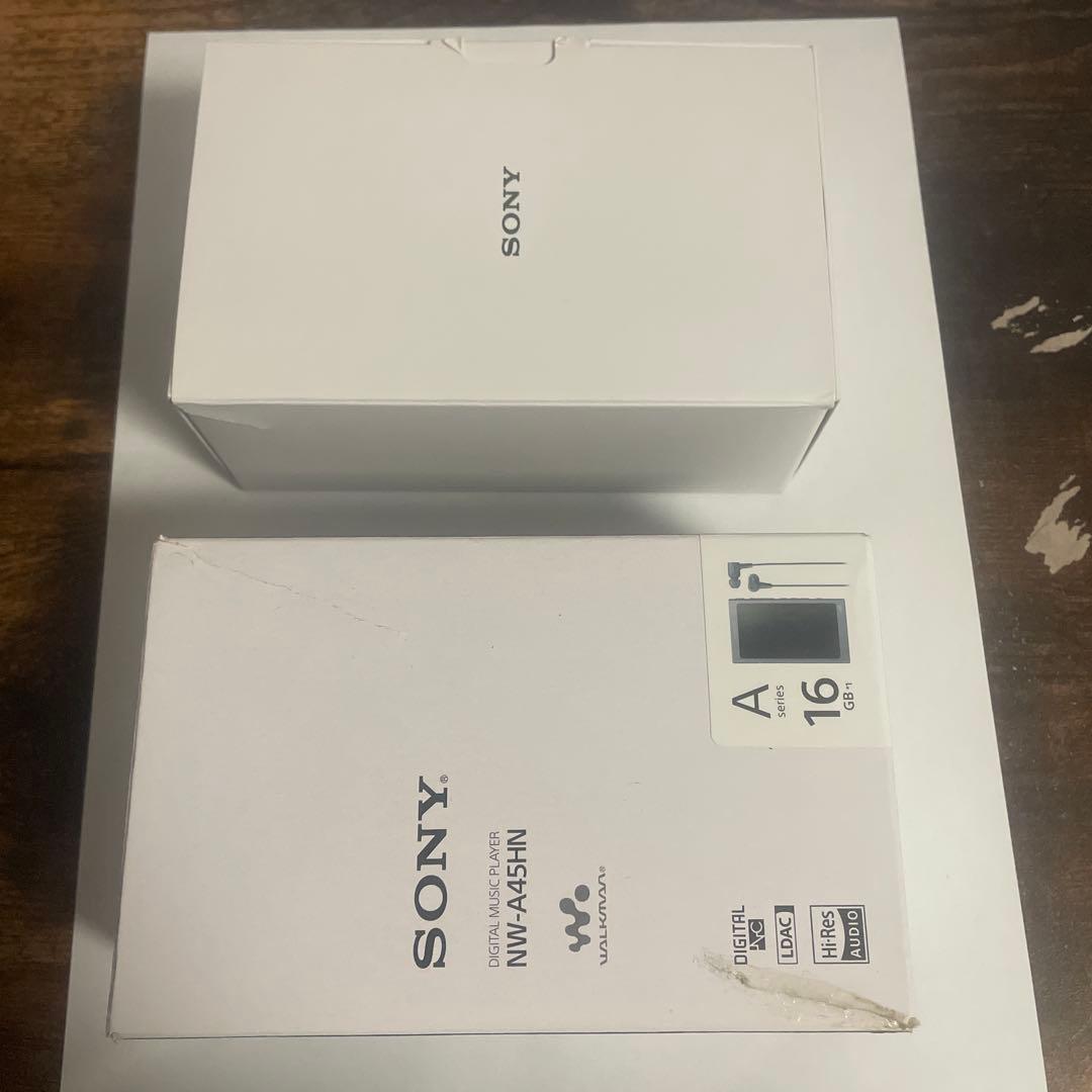WALKMAN Aシリーズ NW-A45HN 16GB