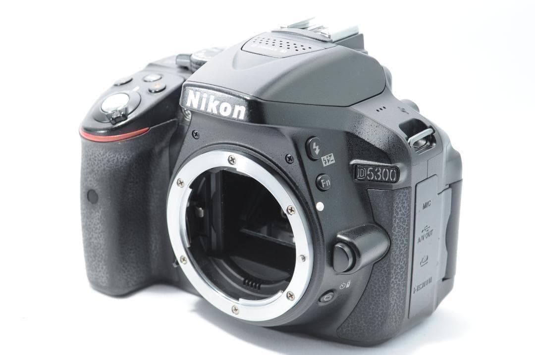 ご家族を綺麗に残す❗️Nikon D5300✨手ぶれ補正ですぐ使える スマホ転送
