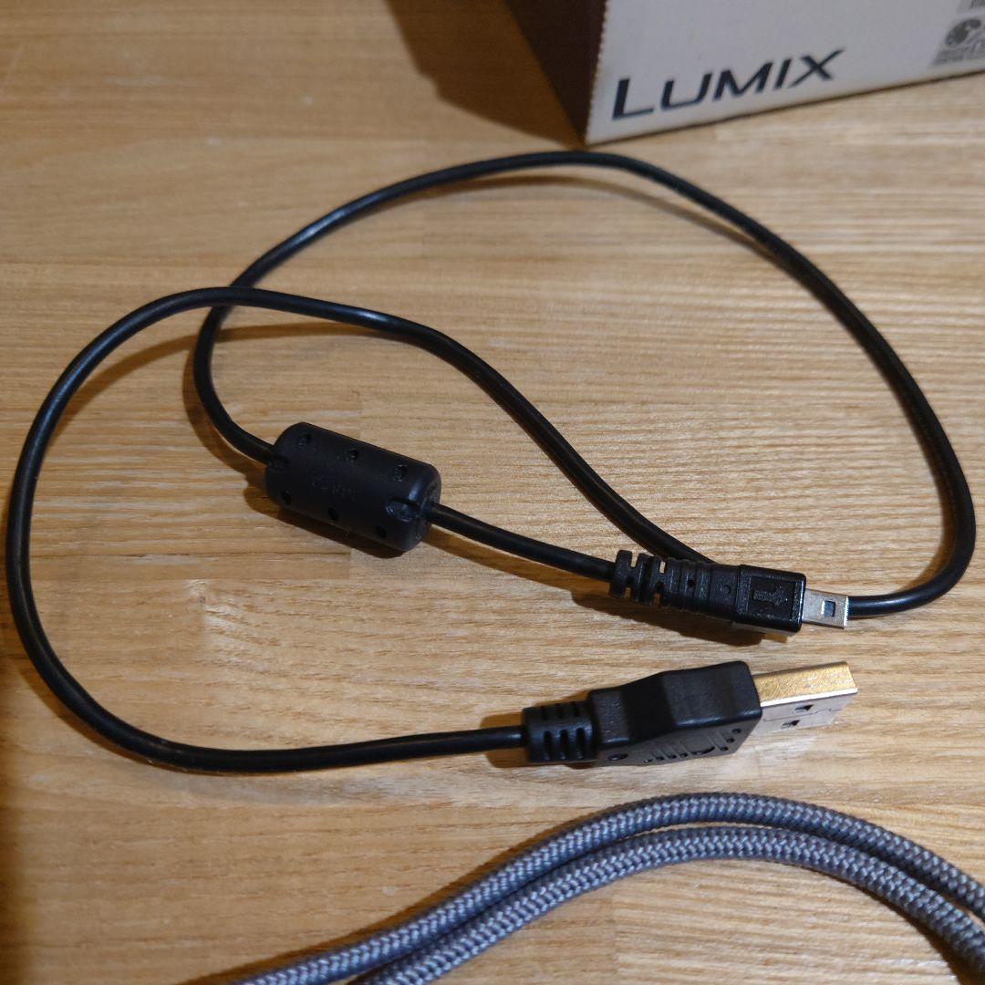 値下げパナソニック　LUMIX　XS　3