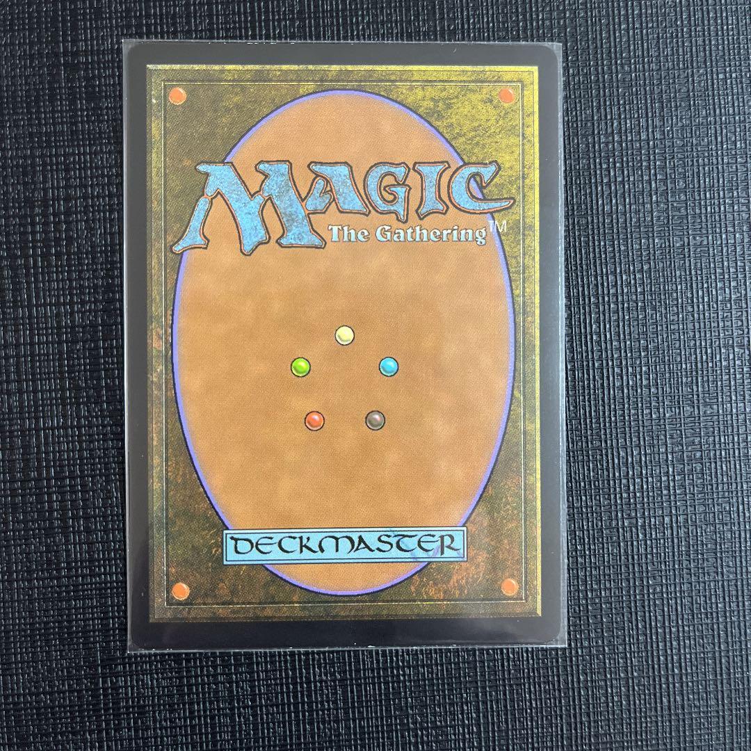 MTG EXP 溢れかえる果樹園　エクスペディション　FOIL