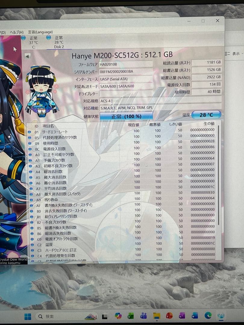 内蔵型SSD Hanye M200 SATA M.2 2280 512GB SSD