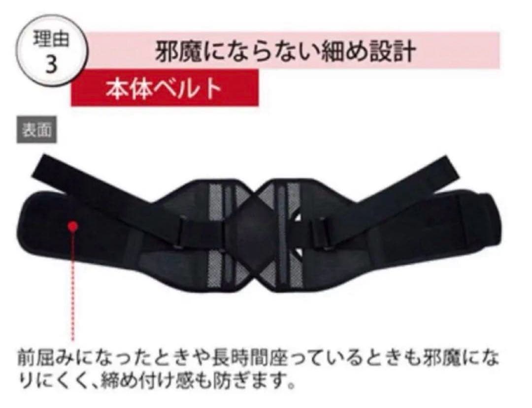 シャルレ　しっかり腰サポーター　LL