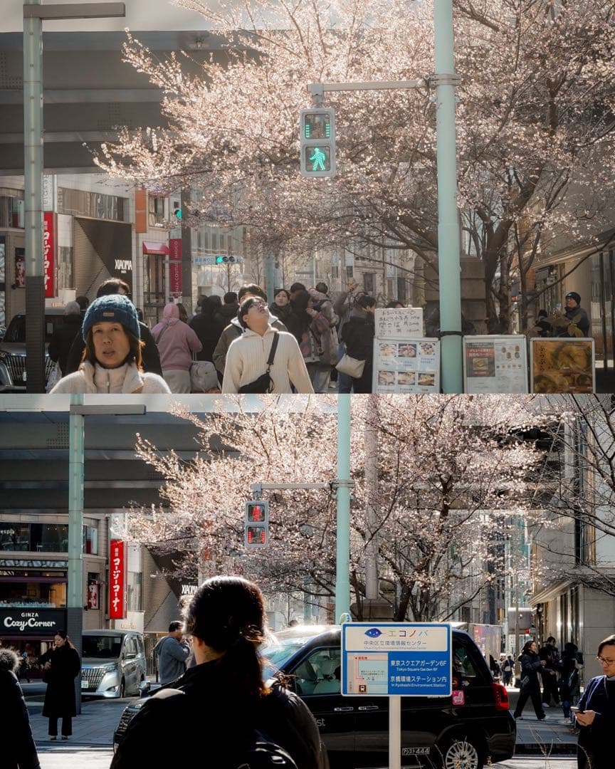 デジタルカメラ SONY A7c
