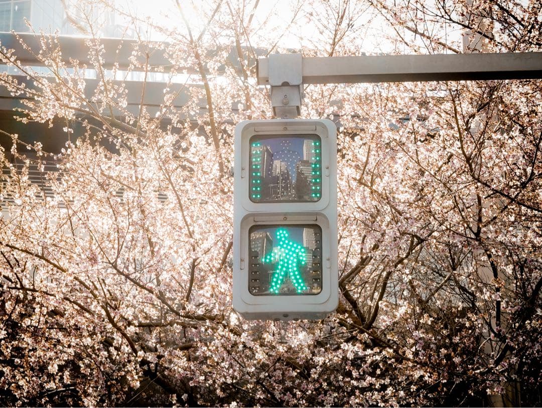 デジタルカメラ SONY A7c