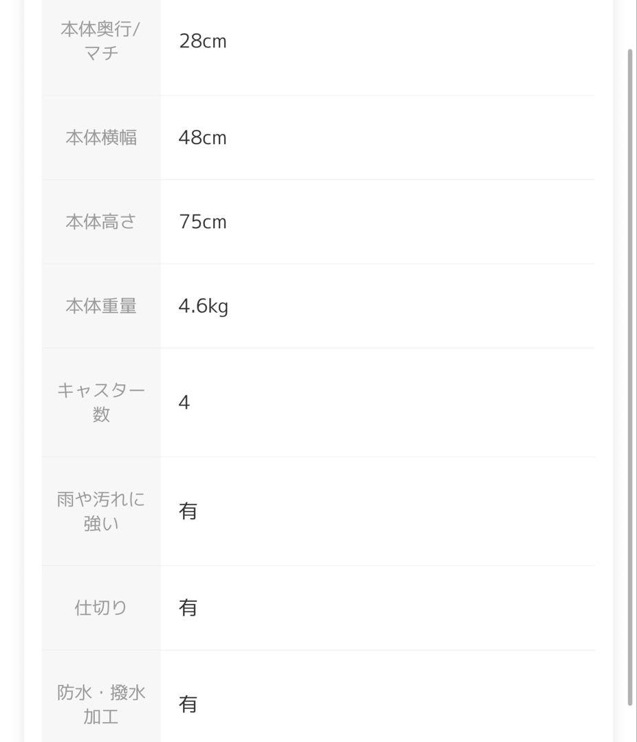 超軽量 Lサイズ キャリーケース TSAロック付き