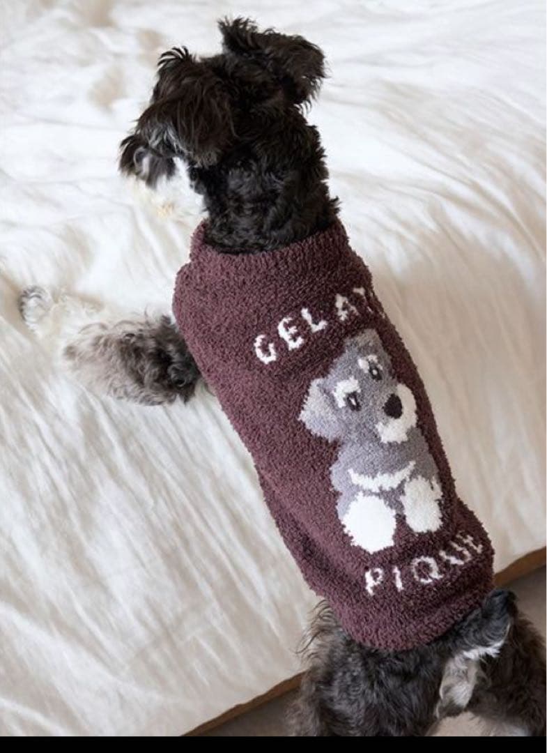 gelato pique ペット　犬服　シュナウザー XL