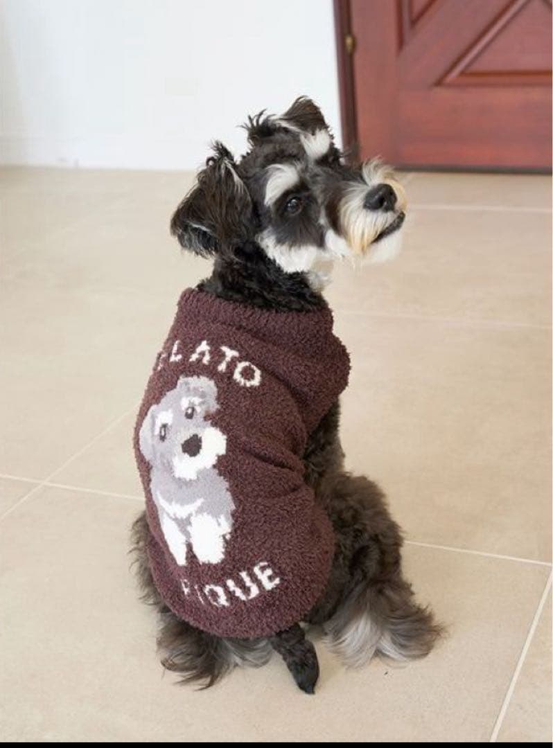 gelato pique ペット　犬服　シュナウザー XL