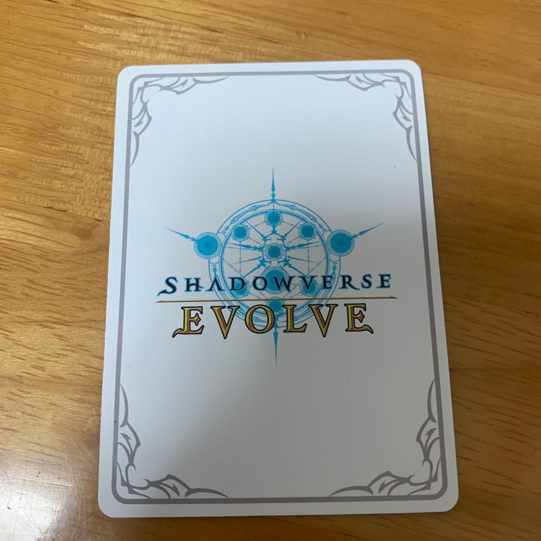シャドウバースエボルヴ　遥かなる絆・アン＆グレア リーダー LD