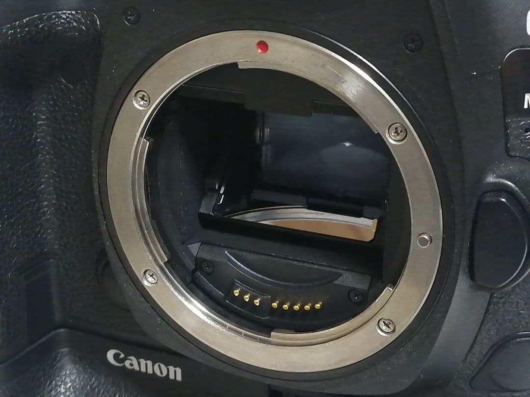 デジタルカメラ Canon EOS 5D4 + BG-E20