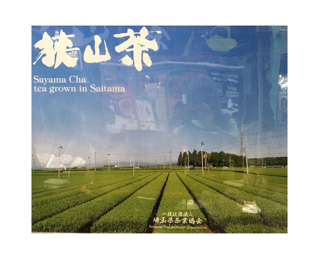 【新茶】狭山茶☆茶畑直販☆特上煎茶100gx6本(令7年産)深蒸し緑茶日本茶お茶