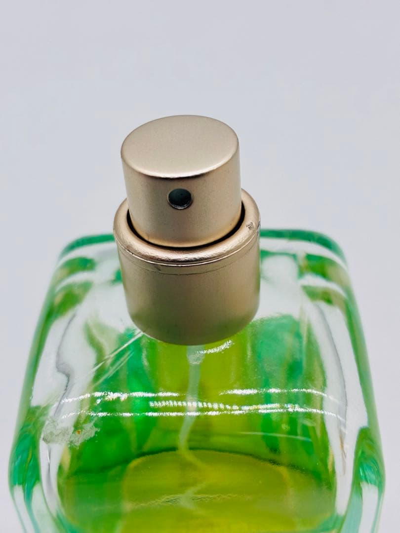 エルメス UN JARDIN SUR LE NIL 香水　ナイルの庭 100ml