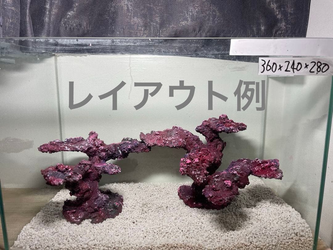 現物在庫SALE！人工ライブロック RR60 アク抜き済み安心塗料使用