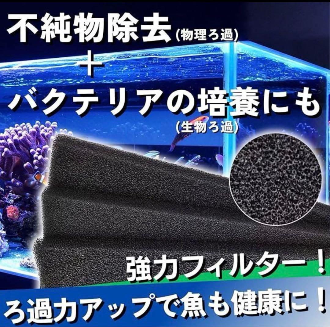 大型水槽用沈殿物理生物一体型濾過槽　外部式濾過装置器水槽濾過バイオフィルター付き
