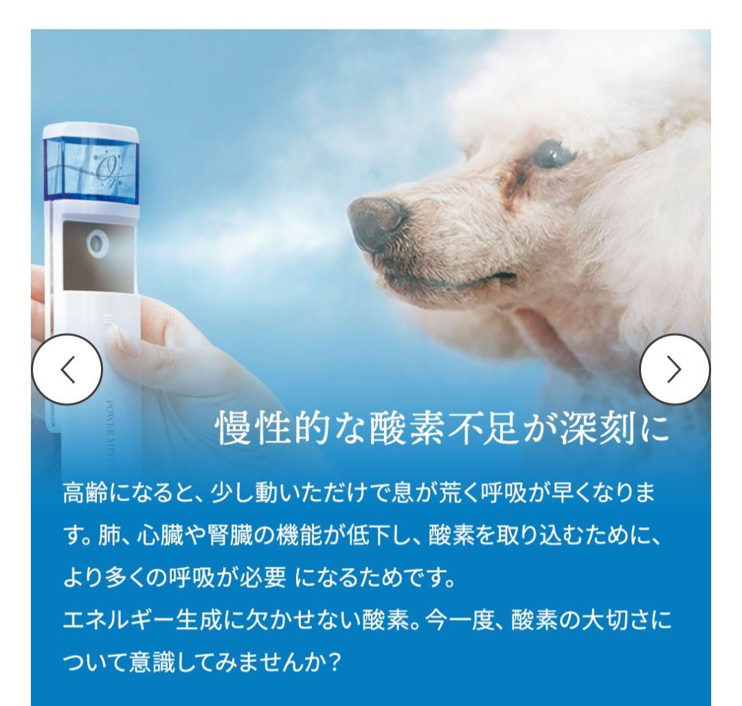 【新品未使用】TEO パワーミストO4 専用酸素水150mm×2付き