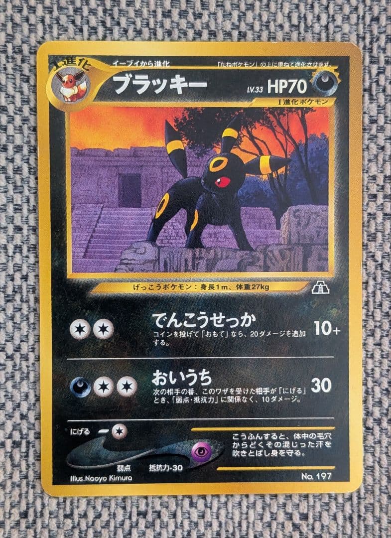 ※美品※ブラッキー プレミアムファイル 旧裏（管理用1214）