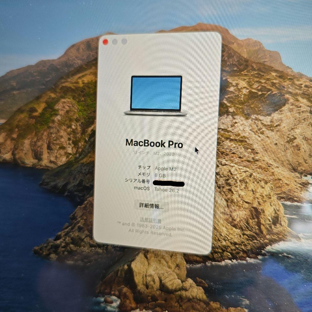 「本体・充電器のみ」Macbook Pro 2022(13インチ/256GB)